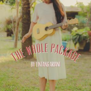 ดาวน์โหลดและฟังเพลง The Whole Package พร้อมเนื้อเพลงจาก Lintang Ariani