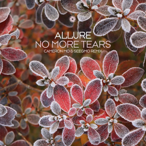 Allure的專輯No More Tears (Cameron Mo & Seegmo Remix)