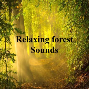 Dengarkan lagu Relaxing forest sounds nyanyian Relajación dengan lirik