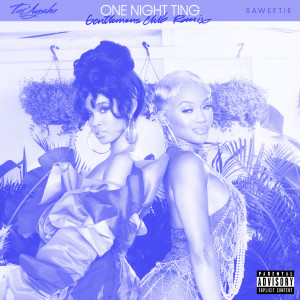 ดาวน์โหลดและฟังเพลง One Night Ting (feat. Saweetie) (Gentlemens Club Remix|Explicit) พร้อมเนื้อเพลงจาก Tai'Aysha
