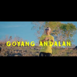 Album Goyang Andalan from DJ Qhelfin