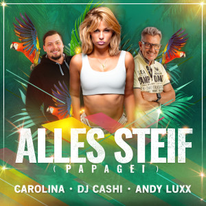 Carolina的專輯Alles Steif (Papagei)
