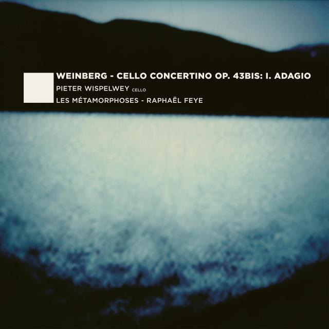 Pieter Wispelwey的專輯Cello Concertino Op. 43bis: I. Adagio