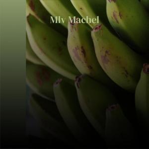 Listen to Nonindulgent song with lyrics from Glenton Nicko