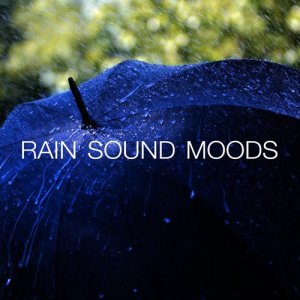 收聽Rain Sound Moods的Precipitation歌詞歌曲
