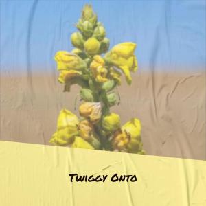 收听Dener Veki的Twiggy Onto歌词歌曲