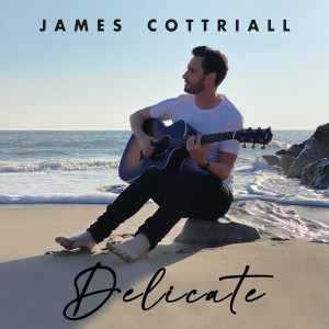 James Cottriall的专辑Delicate