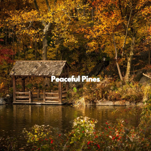 Brazilian Jazz Deluxe的专辑Peaceful Pines