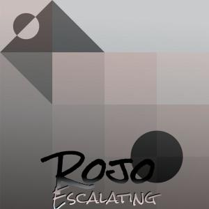 Various Artists的專輯Rojo Escalating