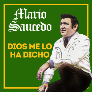 收聽Mario Saucedo的Quise歌詞歌曲