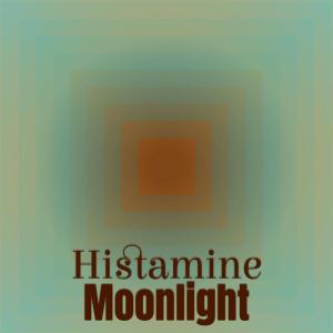 Various Artists的專輯Histamine Moonlight