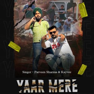 Album Yaar Mere from 