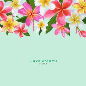 Album Love Blooms from Piola