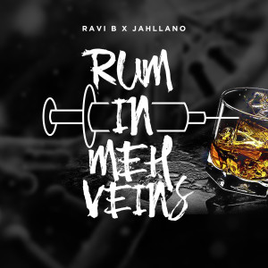 Album Rum in Meh Veins from Jahllano