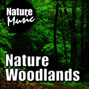 收聽Nature Music的Follow the Unwinding Trail - Relaxing Bird Calls歌詞歌曲