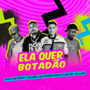 ดาวน์โหลดและฟังเพลง Ela Quer Botadão (Explicit) พร้อมเนื้อเพลงจาก Sony no Beat
