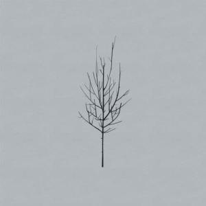 收聽Low的No Comprende歌詞歌曲
