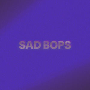 Various Artists的專輯Sad Bops (Explicit)