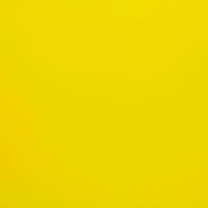 收聽Southeastsinner的Yellow (Explicit)歌詞歌曲