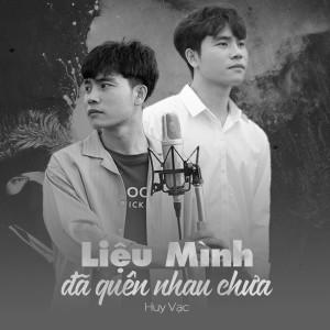 Album Liệu Mình Đã Quên Nhau Chưa (Lofi Ver) from Huy Vạc