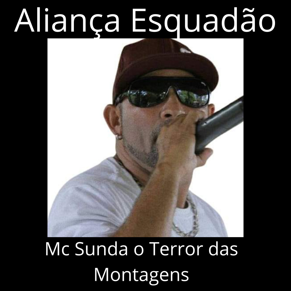 Montagem Aliança Esquadrão