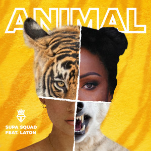 ดาวน์โหลดและฟังเพลง Animal พร้อมเนื้อเพลงจาก Supa Squad