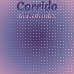 Listen to Corrido Macadamias song with lyrics from Denia Minerve