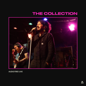 Listen to Beautiful Life (Audiotree Live Version) song with lyrics from The Collection