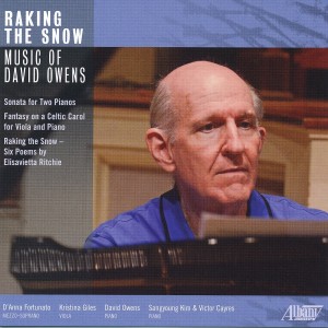 收聽David Owens的Raking the Snow: Visitations - December歌詞歌曲