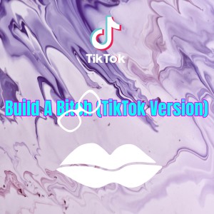 Dengarkan Build a Bitch (TikTok Version) lagu dari Dj Viral TikToker dengan lirik