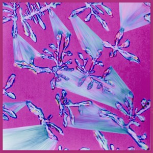 default album img