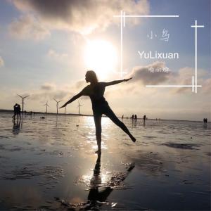Listen to 小鸟 song with lyrics from 喻丽璇