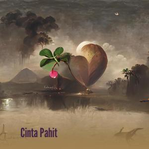 Listen to Cinta Pahit song with lyrics from Achmad Risman