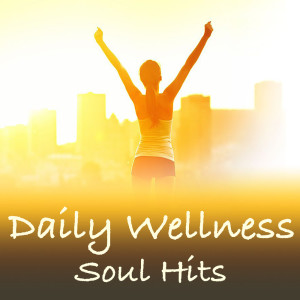 Album Daily Wellness Soul Hits oleh Various Artists