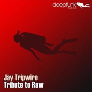 ดาวน์โหลดและฟังเพลง Swang Kong พร้อมเนื้อเพลงจาก Jay Tripwire