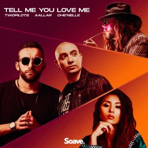 TWOPILOTS的專輯Tell Me You Love Me