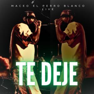 收聽maceo el perro blanco live的te deje (live)歌詞歌曲