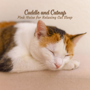 Relaxcation的专辑Cuddle and Catnap: Pink Noise for Relaxing Cat Sleep