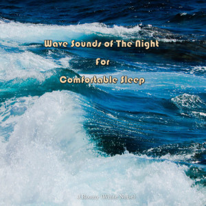 Dengarkan Wave Sounds of The Night For Comfortable Sleep (ASMR, Nature Sound) lagu dari J.Roomy dengan lirik