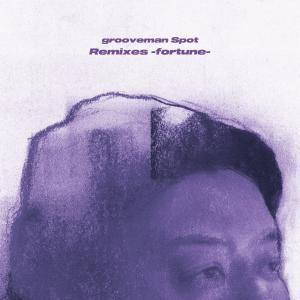 收聽Grooveman Spot的Get It Back (feat. B.I.G.JOE & mabanua) (Kzyboost Remix)歌詞歌曲