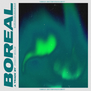 Point Sole的專輯Boreal