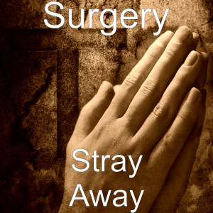 Stray Away (Explicit)