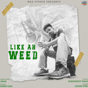 Album Like Ah Weed from Aman
