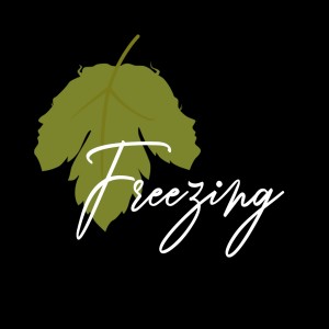收聽Peatersally的Freezing歌詞歌曲