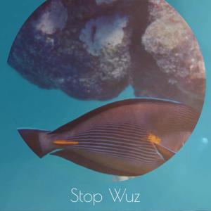 Album Stop Wuz from Various