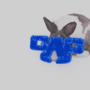 Listen to 蓝本 Blue Prints song with lyrics from Capper