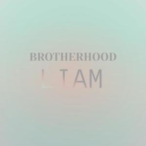 Brotherhood Liam dari Various