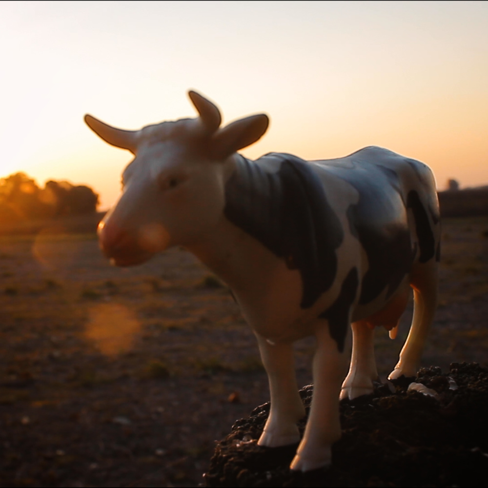 Dejá la Vaca
