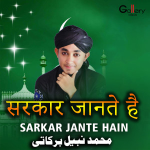 Dengarkan lagu Mera Di Aur Meri nyanyian Mohammed Nabeel dengan lirik