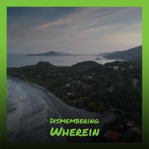 Various的专辑Dismembering Wherein